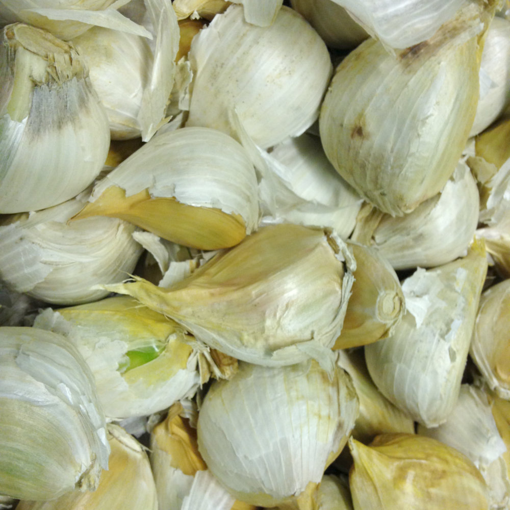 Elephant Garlic  - 500g Bulk Pack